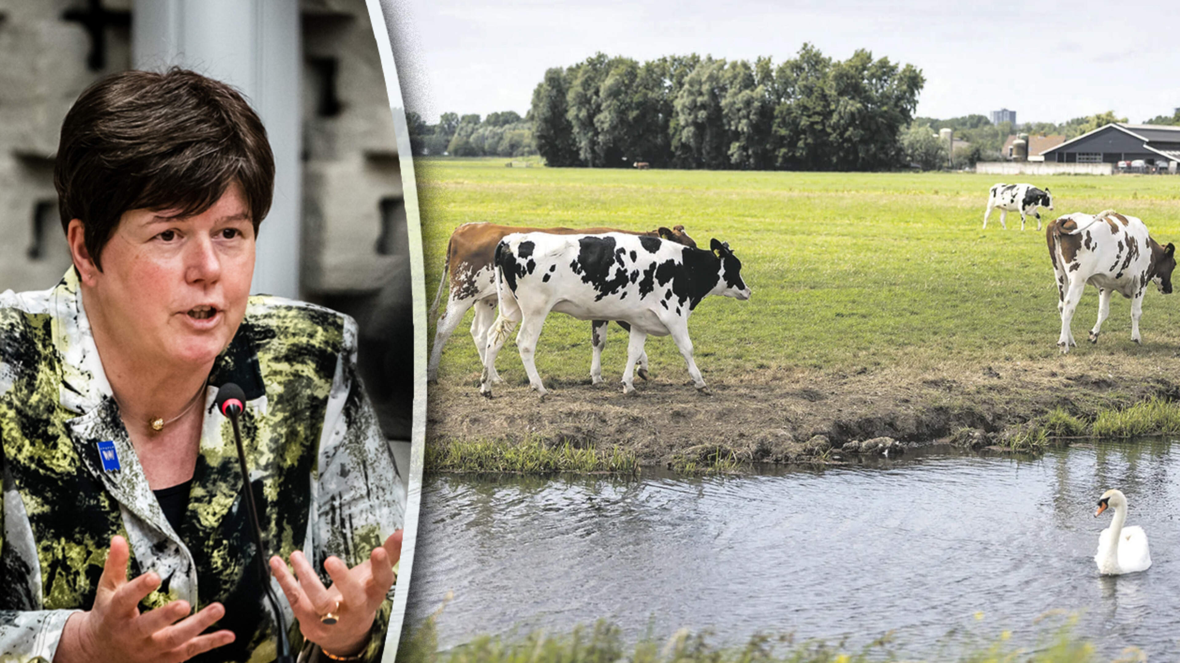 Provinciebesturen scharen zich achter ’pittig’ stikstofpakket, maar hopen nog wel op verhoging ondergrens